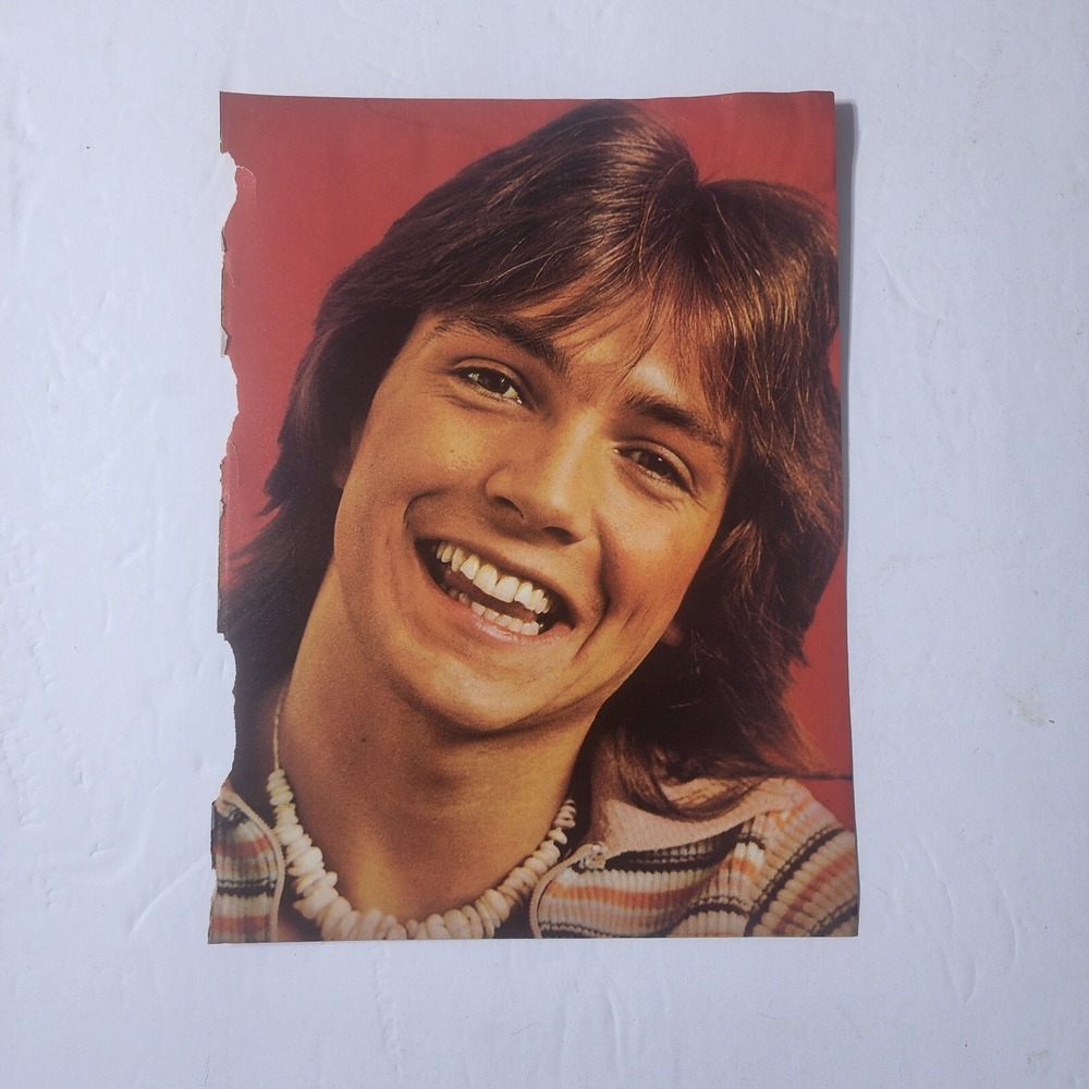 David Cassidy smiling headshot vintage pinup clipping 8x10.5 1970s